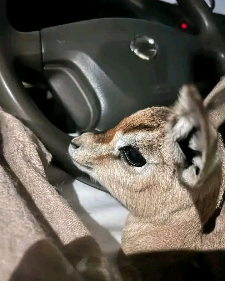 ��� �����_jkqNT