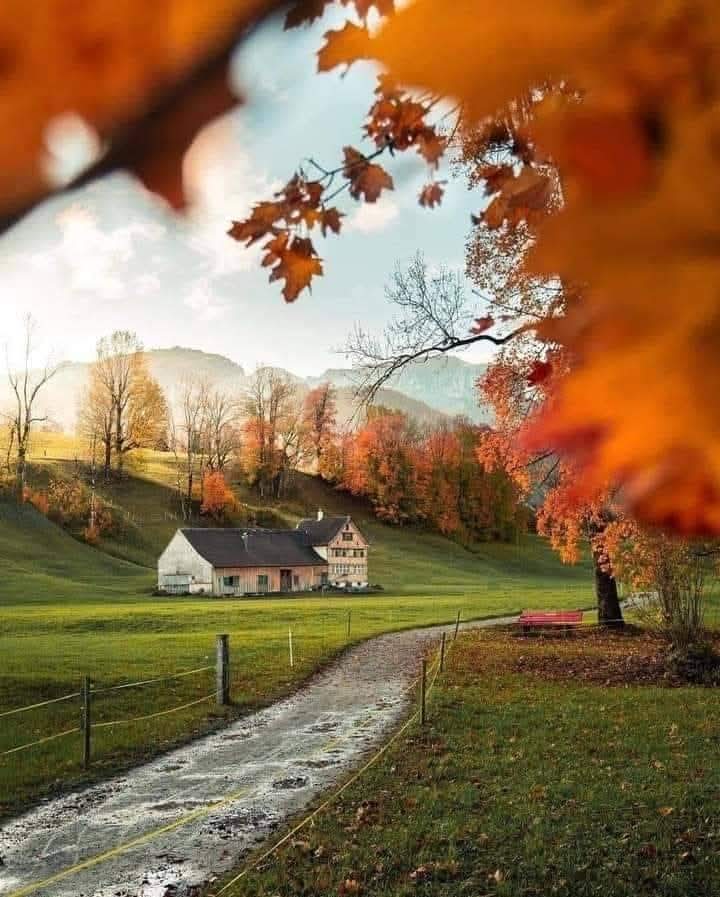 ���� ������_7c4Nd