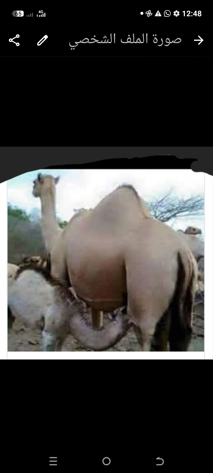 ����� ������ ������ ������_hxhy7