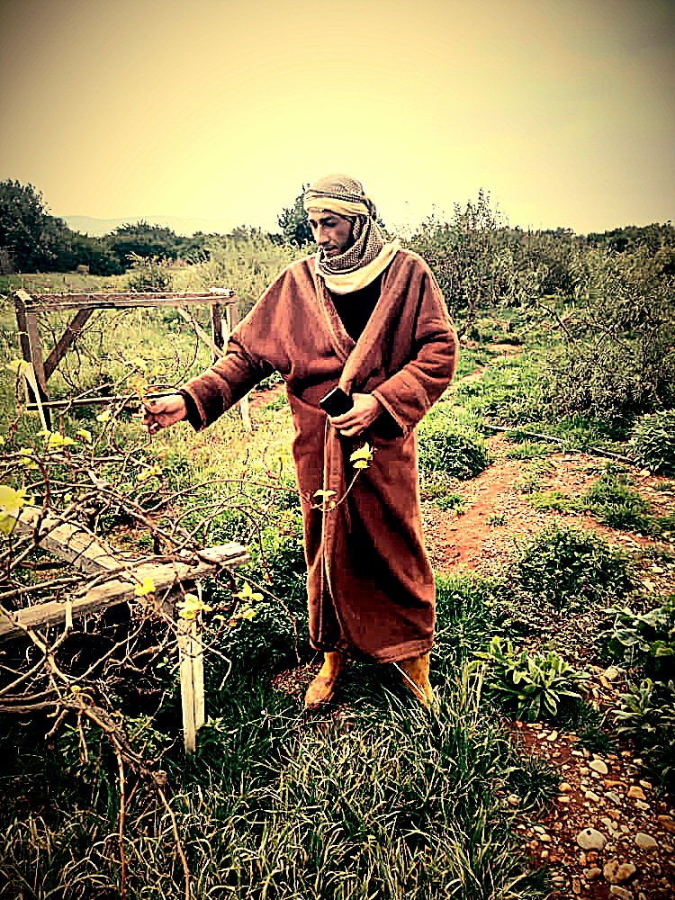 ���� ��������_j0Fno