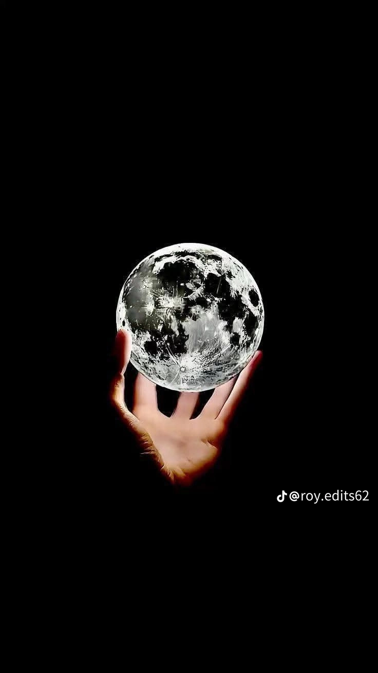 ���� ����_Rmojw